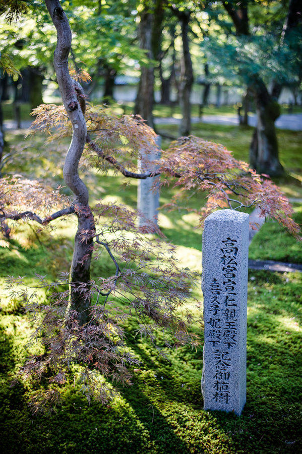 Jardin ZEN kyoto Photographe grenoble Isere Marie-Cat Photographies